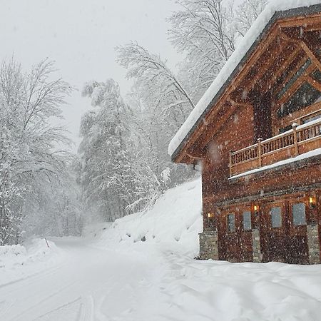 Chalet Entier 110M2 Avec Vue Et Sauna A 10 Min Des Pistes ซานต์-โฟย์-ตาฮองเตส ภายนอก รูปภาพ